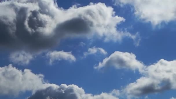 Molntid Förfaller Natur Bakgrund Blå Himmel Vita Moln Puffy Fluffiga — Stockvideo