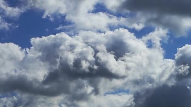 Σύννεφο Time Lapse Φόντο Φύση Μπλε Ουρανό Άσπρα Σύννεφα Φουντωτά — Αρχείο Βίντεο
