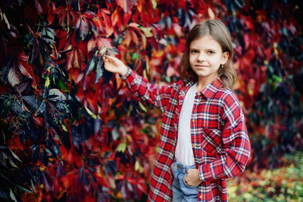 Retrato Outono Menina Camisa Chekered Com Folhas Outono — Fotografia de Stock