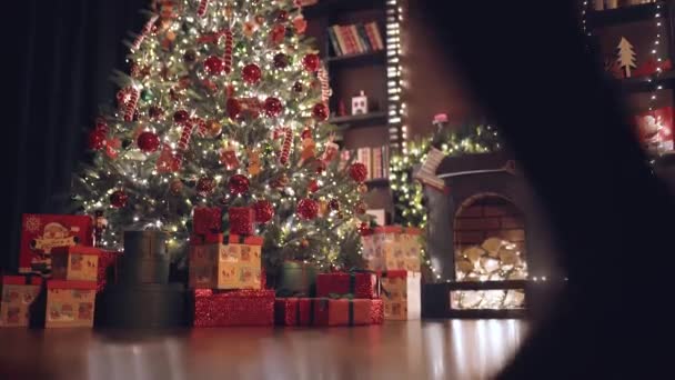 Kleines Mädchen Mit Weihnachtsmütze Schleicht Auf Zehenspitzen Zum Weihnachtsbaum Und — Stockvideo