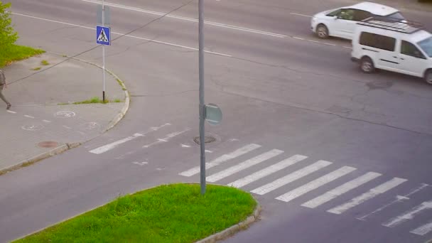 Vista Superior Travessia Estrada Trânsito Diurno Crosswalk Time Lapse — Vídeo de Stock