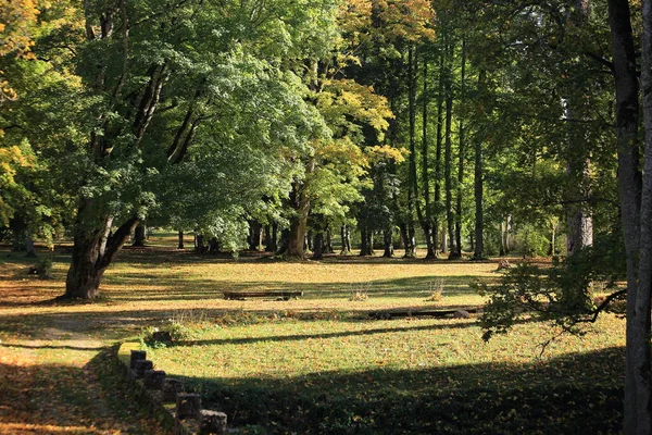 Bellissimo paesaggio con autunno Parco del Castello di Edoles, Lettonia — Foto Stock