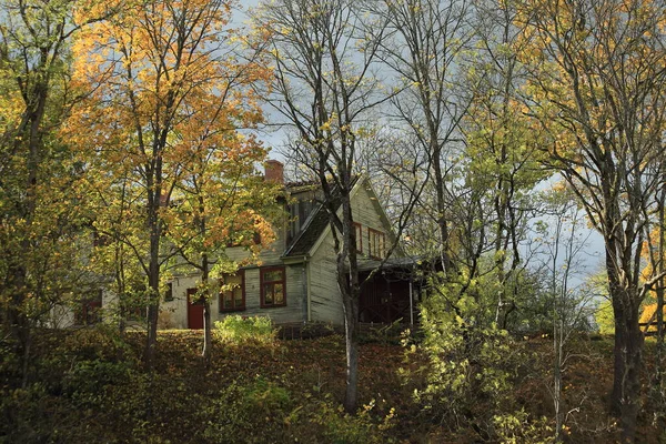 Jesienny wzór drzew na tle drewnianego domu — Zdjęcie stockowe