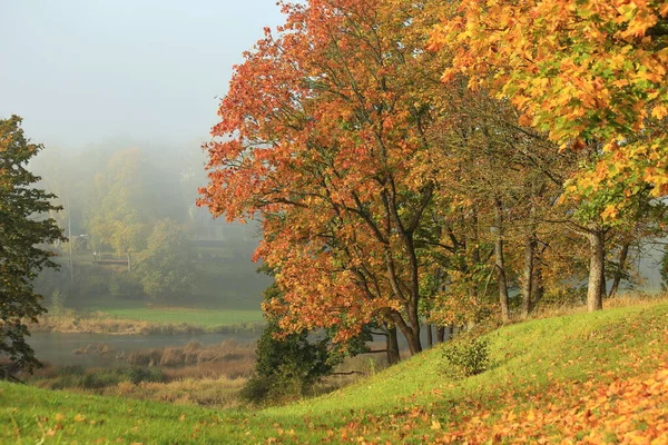 Brouillard d'automne matinal, foyer sélectif. Kuldiga, Lettonie — Photo