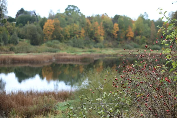 Krajobraz jesienny z rzeką i refleksją, Kuldiga, Lacjum. — Zdjęcie stockowe