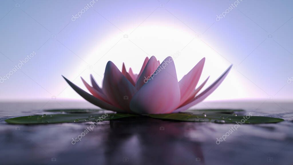 background with a pink lotus flower (3d rendering)