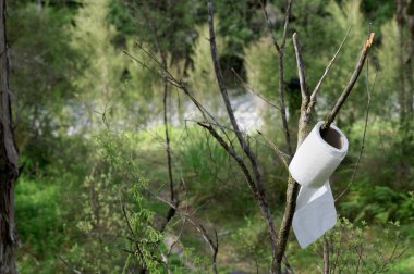 Toilet paper is hung on a tree branch while camping. This indicates that the camp loo if vacant. clipart