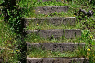 Sert betondan yapılmış basamaklar Çimenli yamaçlara tırmanıyor.