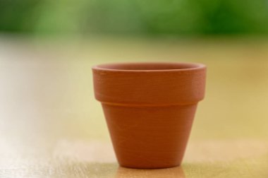 Yeni Zelanda 'nın Güney Adası' ndaki Waiho Nehri 'nde beslenen Franz Josef..