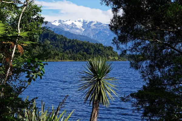 Glaciar Alimentó Río Waiho Franz Josef Isla Sur Nueva Zelanda — Foto de Stock