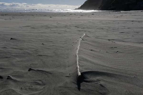 Sand Has Built Large Piece Drift Wood Beach Wind Patterns — Stock Photo, Image