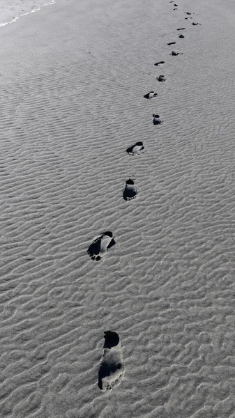 Line Footprints Wander Wet Sand Sandy Beach — Stock Photo, Image