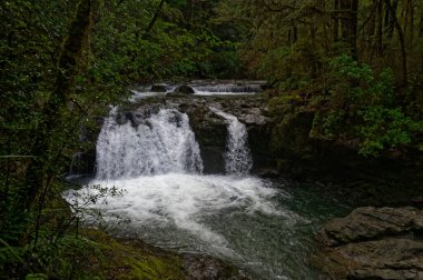 Six Mile Creek 'teki Weir, Murchison, Yeni Zelanda