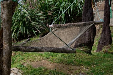 Ağaçların arasında boş bir hamak asılı, hoş bir dinlenme yeri.