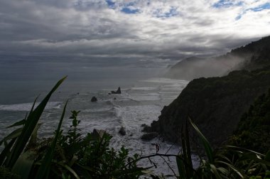 Batı kıyısındaki bir körfezde ağaçların üzerinde sis toplanıyor.
