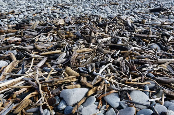 Madera Deriva Asienta Sobre Rocas Piedras Una Playa Aotearoa Nueva —  Fotos de Stock