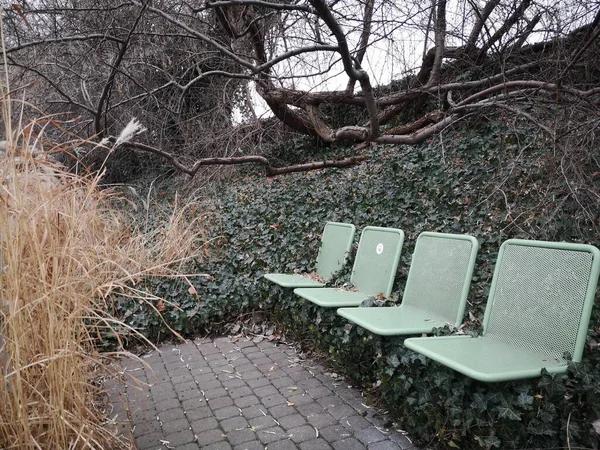 Şehirde güzel bir sera