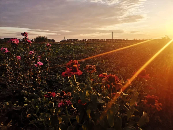 Sonbaharda gün batımı