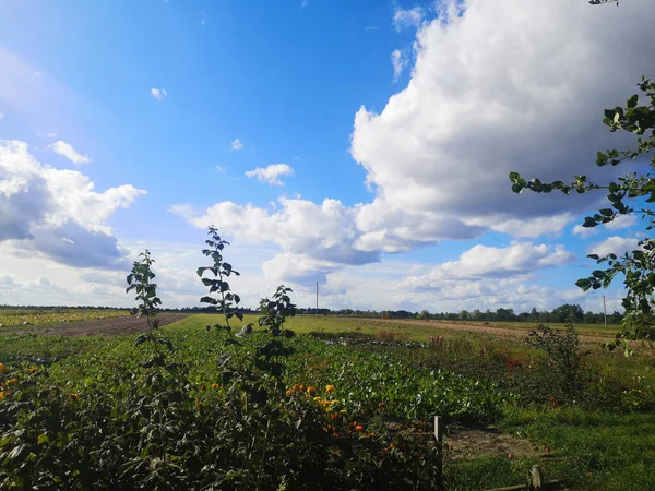 Gökyüzündeki manzara ve bulutlar