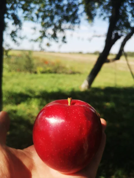 Sonbaharda elde elma