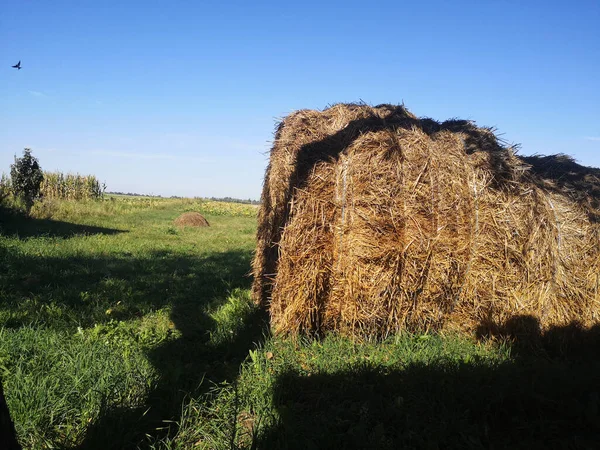 Gökyüzündeki manzara ve bulutlar
