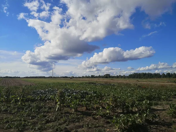 Gökyüzündeki manzara ve bulutlar