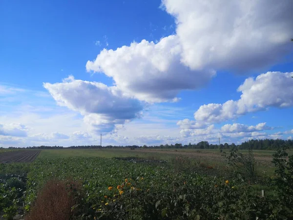 Gökyüzündeki manzara ve bulutlar
