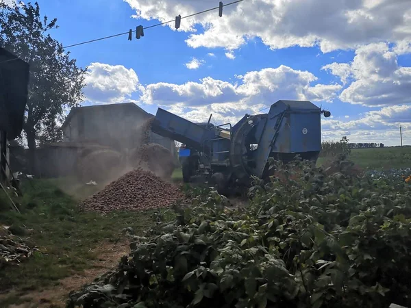 Traktör sonbahar gününde tarlada