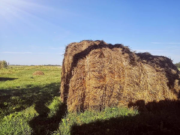 Gökyüzündeki manzara ve bulutlar