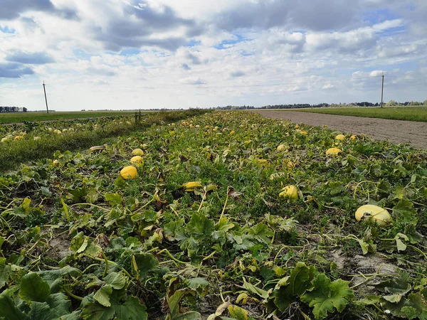 Gökyüzündeki manzara ve bulutlar