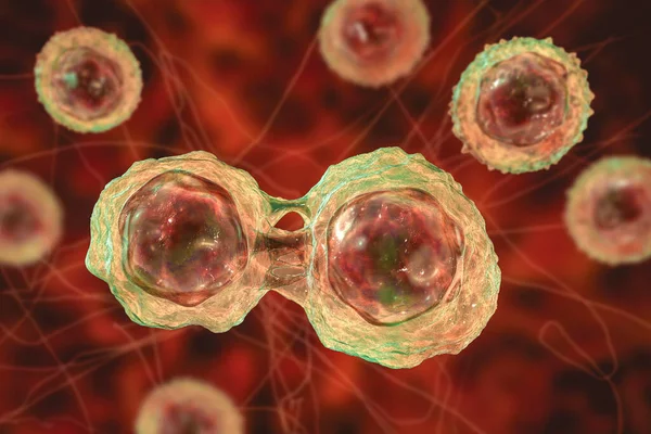 Διαίρεση Βλαστοκυττάρων Τρισδιάστατη Απεικόνιση Έρευνα Και Επιστημονικό Υπόβαθρο — Φωτογραφία Αρχείου