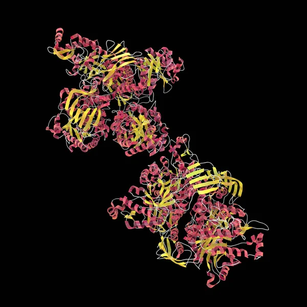 Молекула Бета Гексозаминидазы Фермент Hexa Иллюстрация Мутации Гене Кодирующем Гэкса — стоковое фото