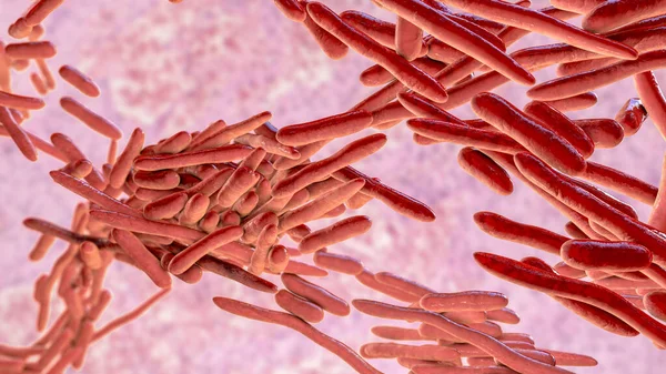 Erysipelothrix Bacteria Illustration Species Pleomorphic Rod Shaped Bacteria Causing Skin — Stock Photo, Image