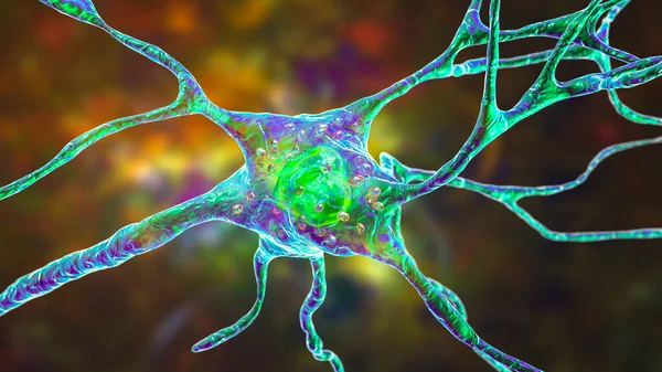 Neurona Sana Con Lisosomas Células Cerebrales Ilustración Vista Cerca — Foto de Stock