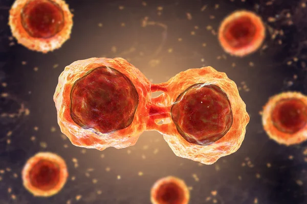 Dividing stem cells, 3D illustration. Research and scientific background