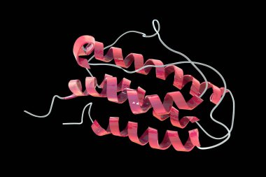 İnsan eritropoetinin moleküler modeli (EPO, epoetin), kırmızı kan hücrelerinin üretimini teşvik eden protein, 3D illüstrasyon