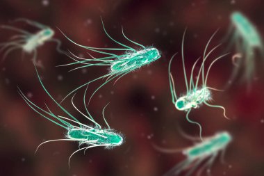 Escherichia coli bakterisi, 3 boyutlu illüstrasyon. E. coli, flagella ile kaplanmış Gram negatif çubuk şekilli hareketli bir bakteridir.