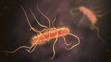 Escherichia coli bakterisi, 3 boyutlu illüstrasyon. E. coli, flagella ile kaplanmış Gram negatif çubuk şekilli hareketli bir bakteridir.
