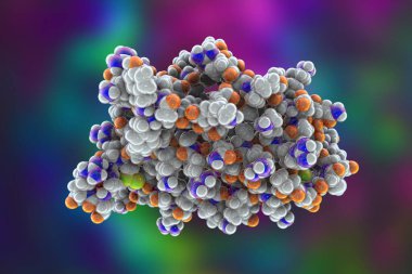 İnsan eritropoetinin moleküler modeli (EPO, epoetin), kırmızı kan hücrelerinin üretimini teşvik eden protein, 3D illüstrasyon