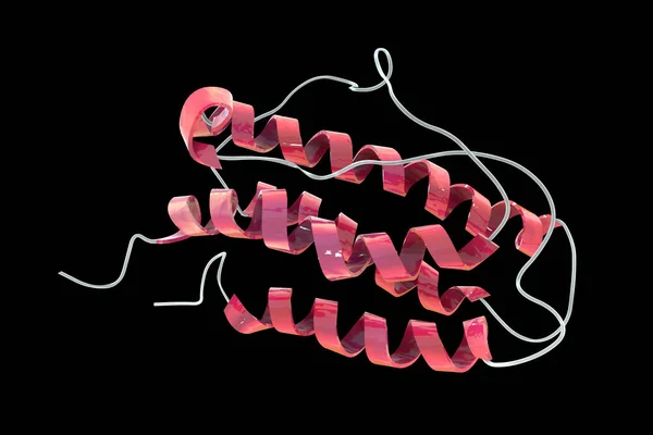 Molekulární Model Lidského Erytropoetinu Epo Epoetin Protein Stimulující Tvorbu Červených — Stock fotografie