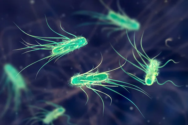 Escherichia Coli Bacteria Ilustración Coli Una Bacteria Móvil Forma Varilla — Foto de Stock