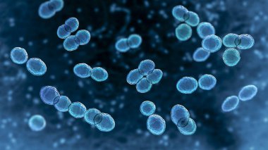 Bakteri Lactococcus, 3 boyutlu illüstrasyon. Gram-pozitif cocci, süt ürünleri endüstrisinde kullanılan laktik asit bakterisi. Ayrıca idrar yolu enfeksiyonları ve endokarditte de izole edilmiştir.