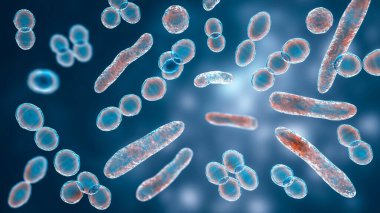Farklı şekillerde bakteri, 3 boyutlu illüstrasyon. Cocci, çubuk şekilli bakteri