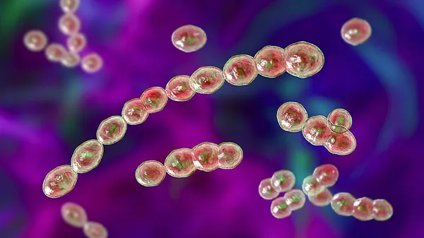 Leuconostoc Bacteria Illustration Coccoid Lactic Acid Bacteria Found Plants Used — Stock Photo, Image