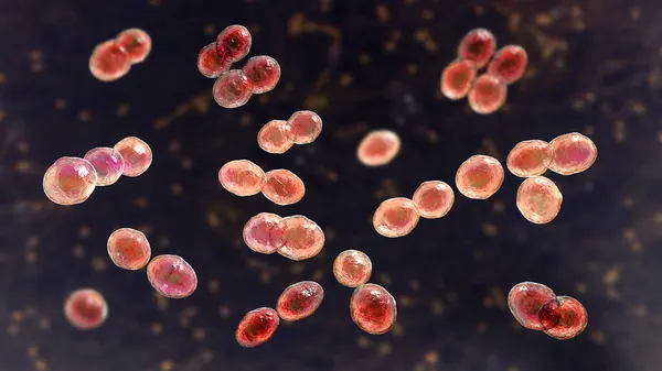 Bacterias Lactococcus Ilustración Cocos Grampositivos Bacterias Del Ácido Láctico Utilizadas — Foto de Stock