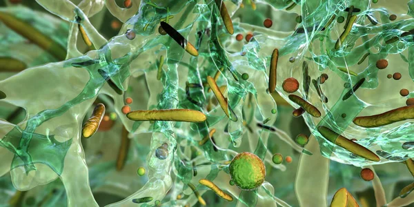 Bir Biyofilmdeki Antibiyotiğe Dirençli Bakteriler Boyutlu Illüstrasyon Biyofilm Antibiyotik Direnci — Stok fotoğraf