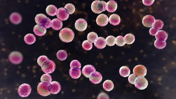 Bakteri Pediokok Boyutlu Illüstrasyon Karın Ameliyatından Sonra Gastrointestinal Anormallikleri Olan — Stok fotoğraf