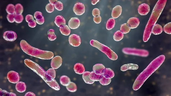 Farklı Şekillerde Bakteri Boyutlu Illüstrasyon Cocci Çubuk Şekilli Bakteri — Stok fotoğraf