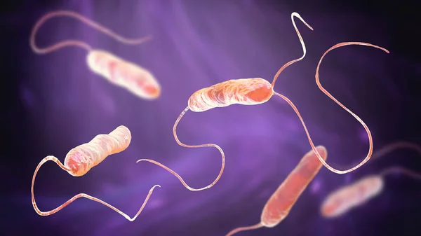 Bacterias Stenotrophomonas Maltophilia Ilustración Bacilos Gramnegativos Que Causan Infecciones Nosocomiales — Foto de Stock
