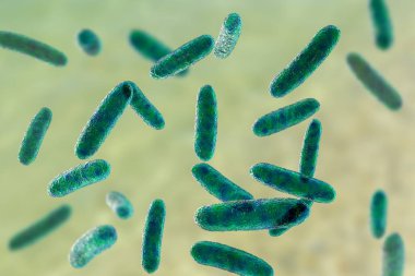 Citrobacter bakterisinin bilimsel görüntüsü, Enterobacteriaceae ailesinden Gram negatif bakteri, 3 boyutlu illüstrasyon. İnsan bağırsağında bulunması idrar yolu enfeksiyonlarına, bebek menenjitine ve sepsise neden olabilir.